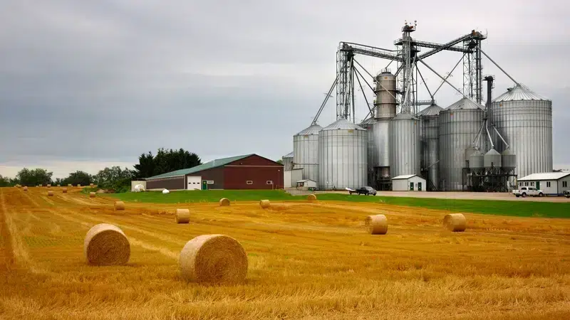 włoska pomoc prawna w zakresie żywności