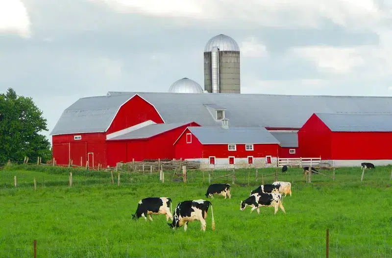 włoskie nieruchomości komercyjne porady prawne