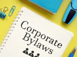 srl bylaws; italian srl bylaws: Italian SRL Bylaws: Legal Framework