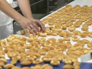 How to Appoint a Food Business Operator (FBO) in Italy and the EU: A Legal Guide for Foreign Companies