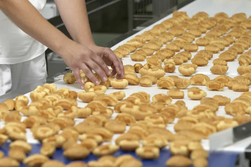 How to Appoint a Food Business Operator (FBO) in Italy and the EU: A Legal Guide for Foreign Companies